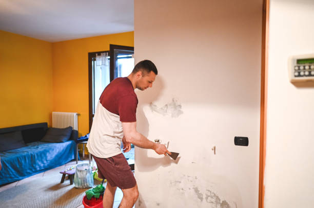 Mold Removal Process in Chillicothe, OH